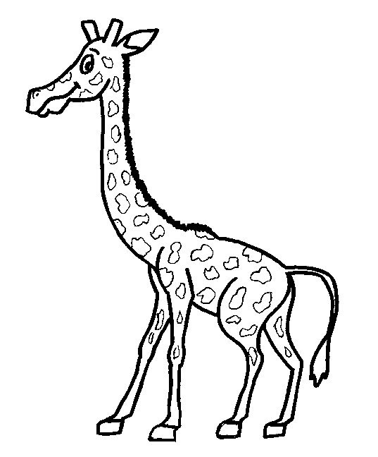 长颈鹿简笔画:长颈鹿的声音_+长颈鹿简笔画_+