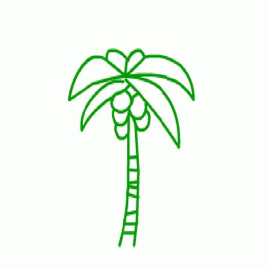 椰子树简笔画:椰林森林浴_+椰子树简笔画_+教