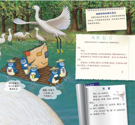 《蓝色乐团观鸟之旅》之狂野海岸历险记精彩连载