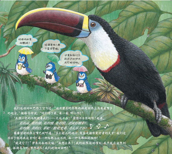 《蓝色乐团观鸟之旅》之寻找鸟类之最精彩连载
