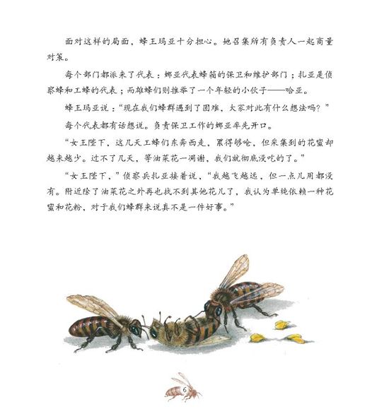 《大自然的故事科学童话》之最后一个蜂群绘本连载