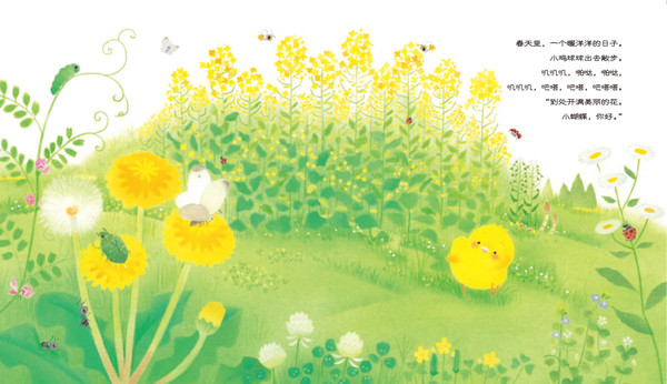 小鸡球球生命友情系列》之小鸡球球和向日葵绘