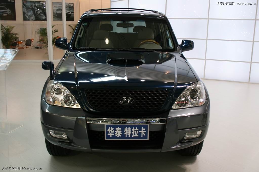 特拉卡車展高清大圖