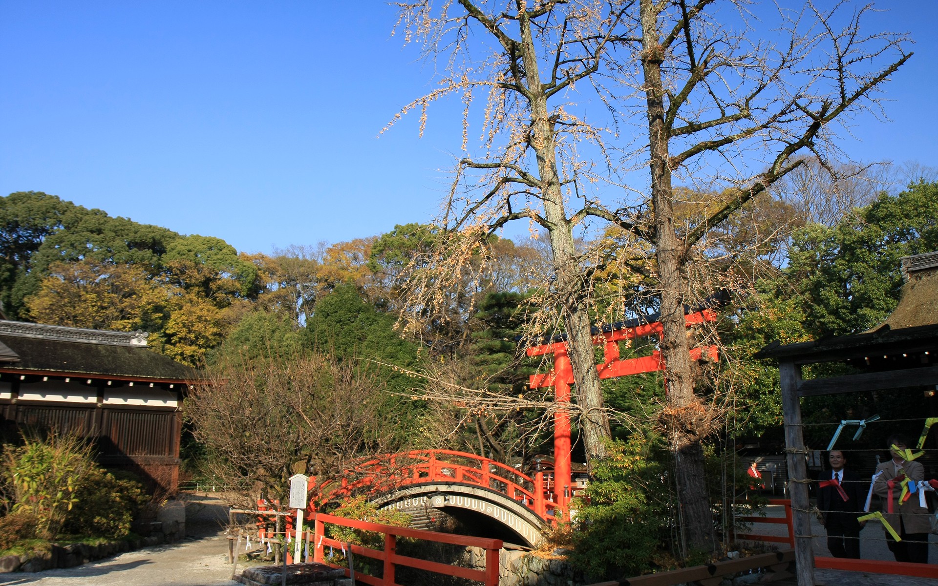 日本下鸭神社红叶 二 风景 太平洋电脑网